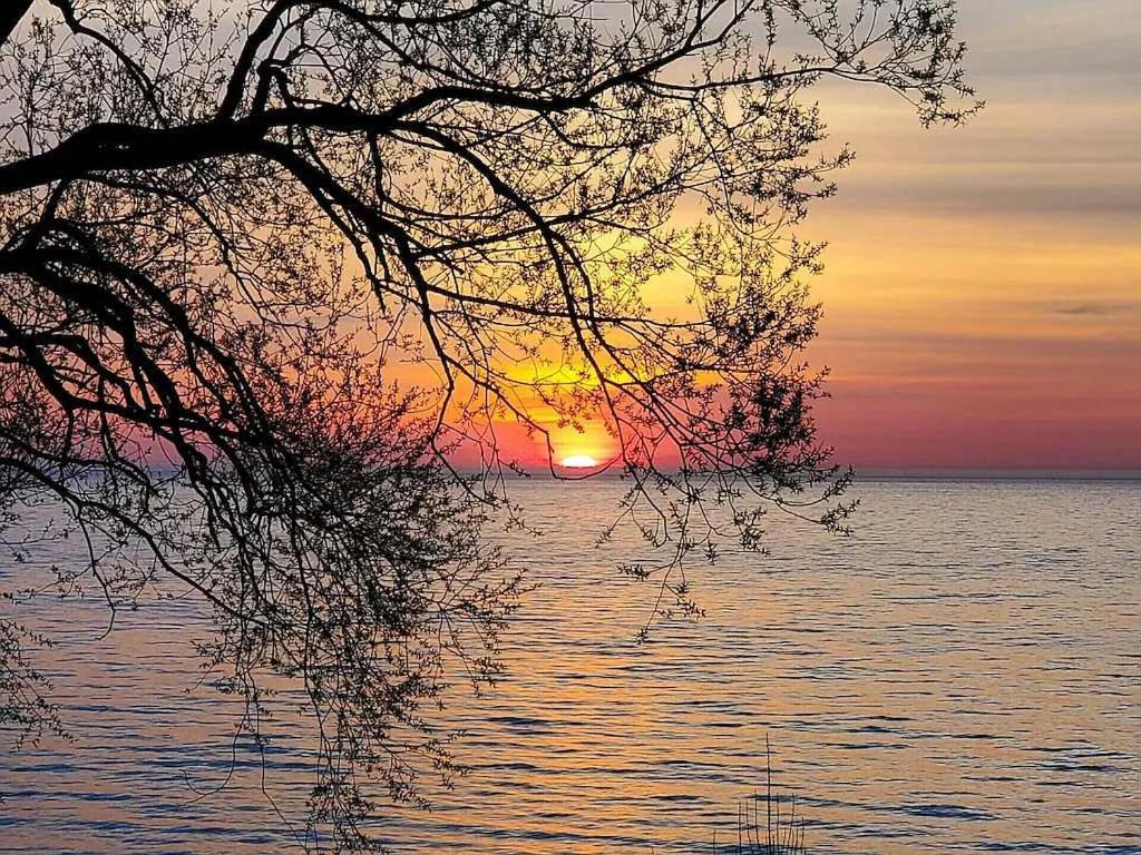 Libby'S Cove Βίλα Carsonville Εξωτερικό φωτογραφία